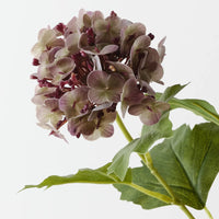 Hydrangea Spray | Purple Green