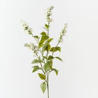 Lilac Bud Spray | Cream