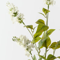 Lilac Bud Spray | Cream