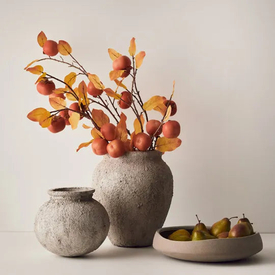Fruit Pear | Green