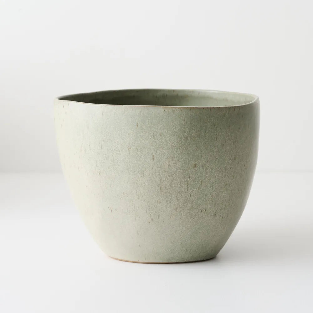 Kenji Pot | Lichen