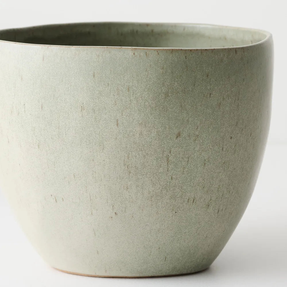 Kenji Pot | Lichen