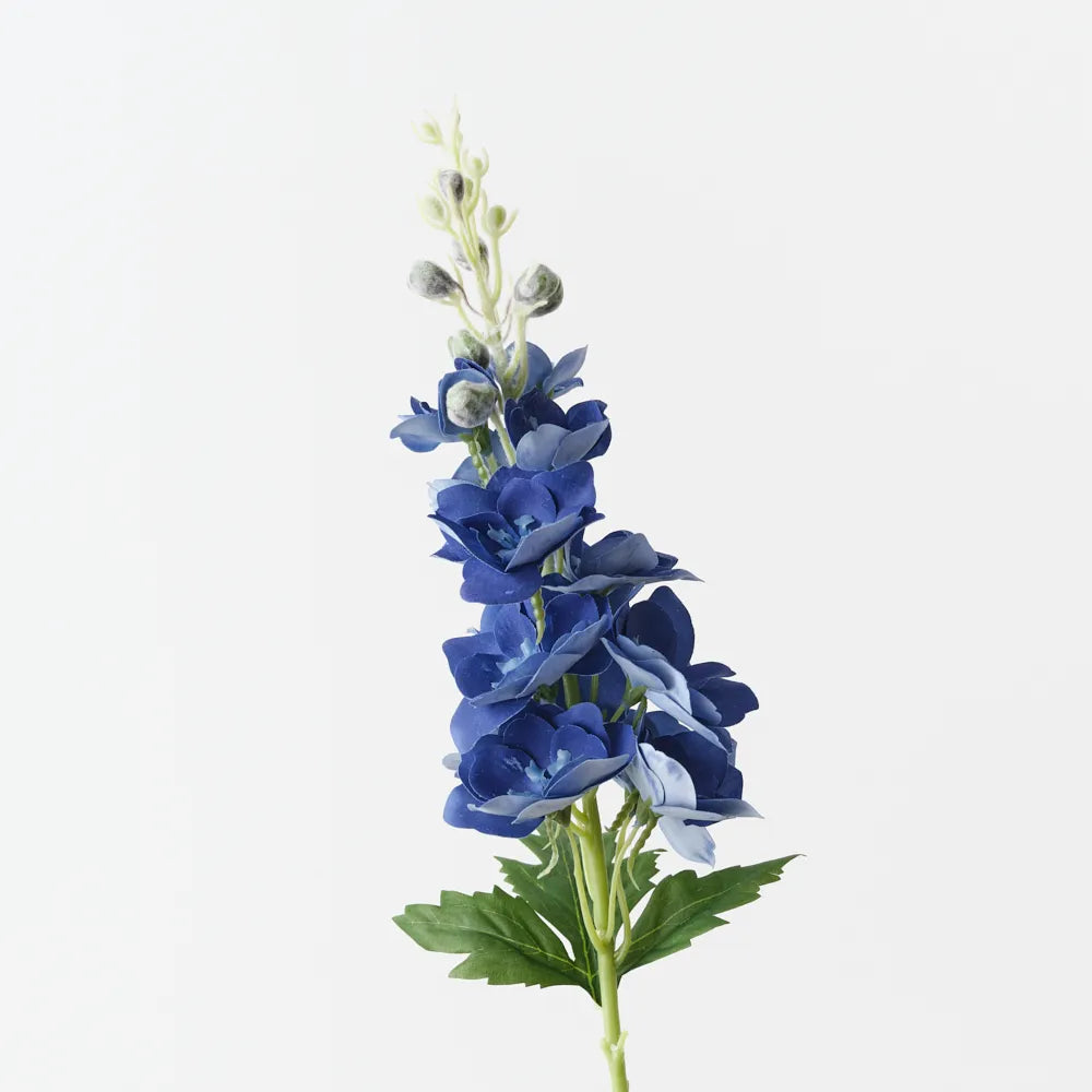 Delphinium | Dark Blue