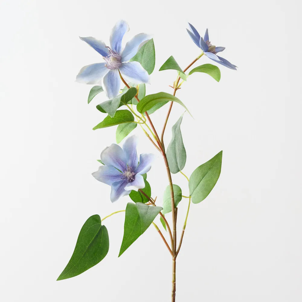 Clematis Spray | Lavender Blue