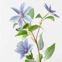 Clematis Spray | Lavender Blue