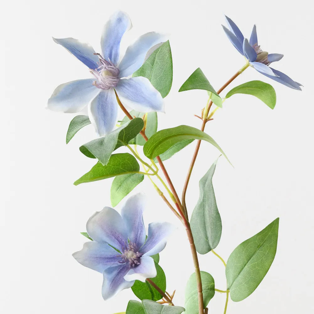 Clematis Spray | Lavender Blue