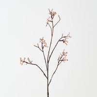 Tallow Spray | Natural