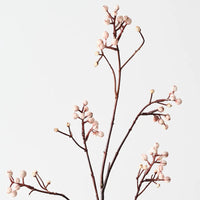 Tallow Spray | Natural
