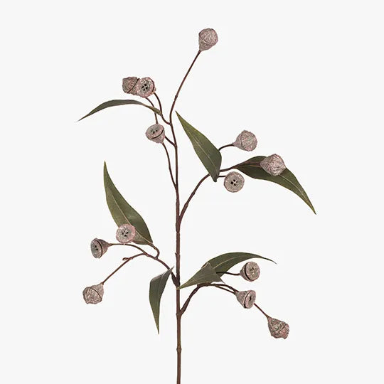 Eucalyptus Pod | White Green