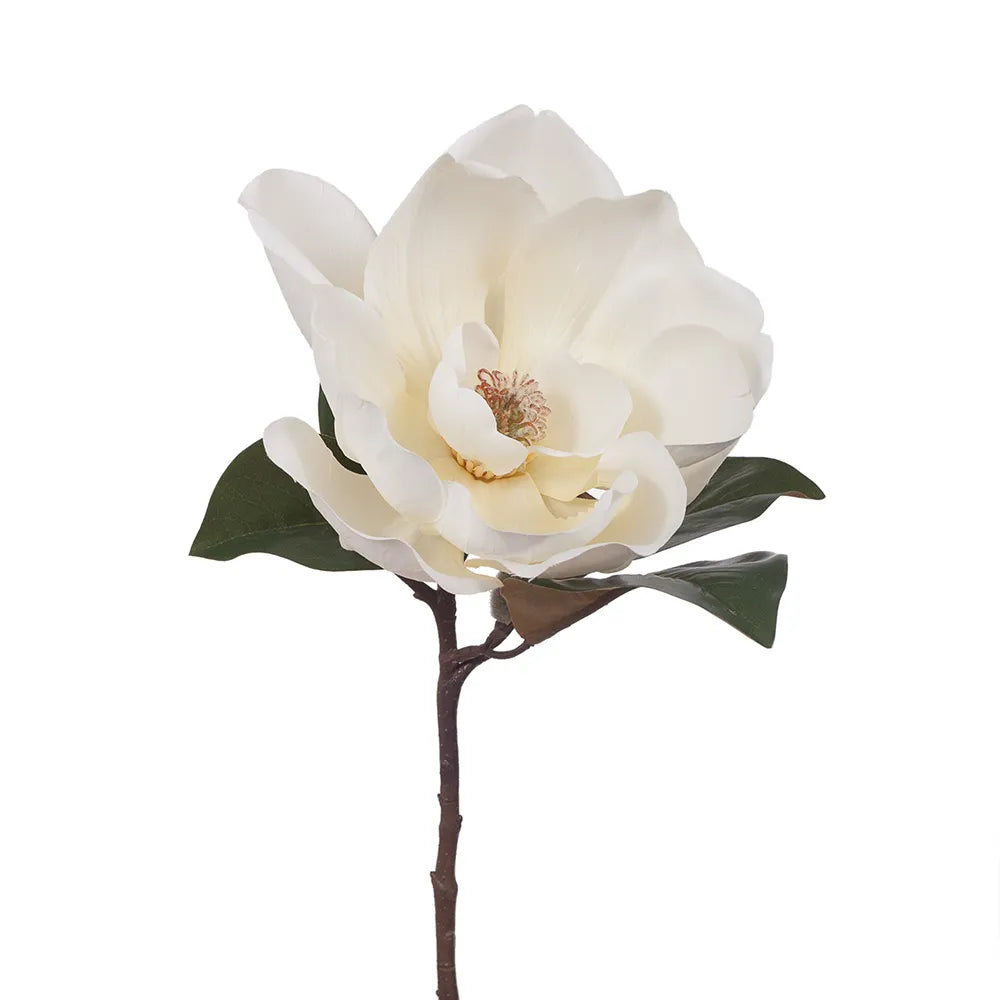 Magnolia | White