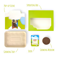 Pop-Up Billabong Microgreens Growing Kit