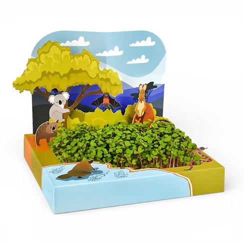 Pop-Up Billabong Microgreens Growing Kit