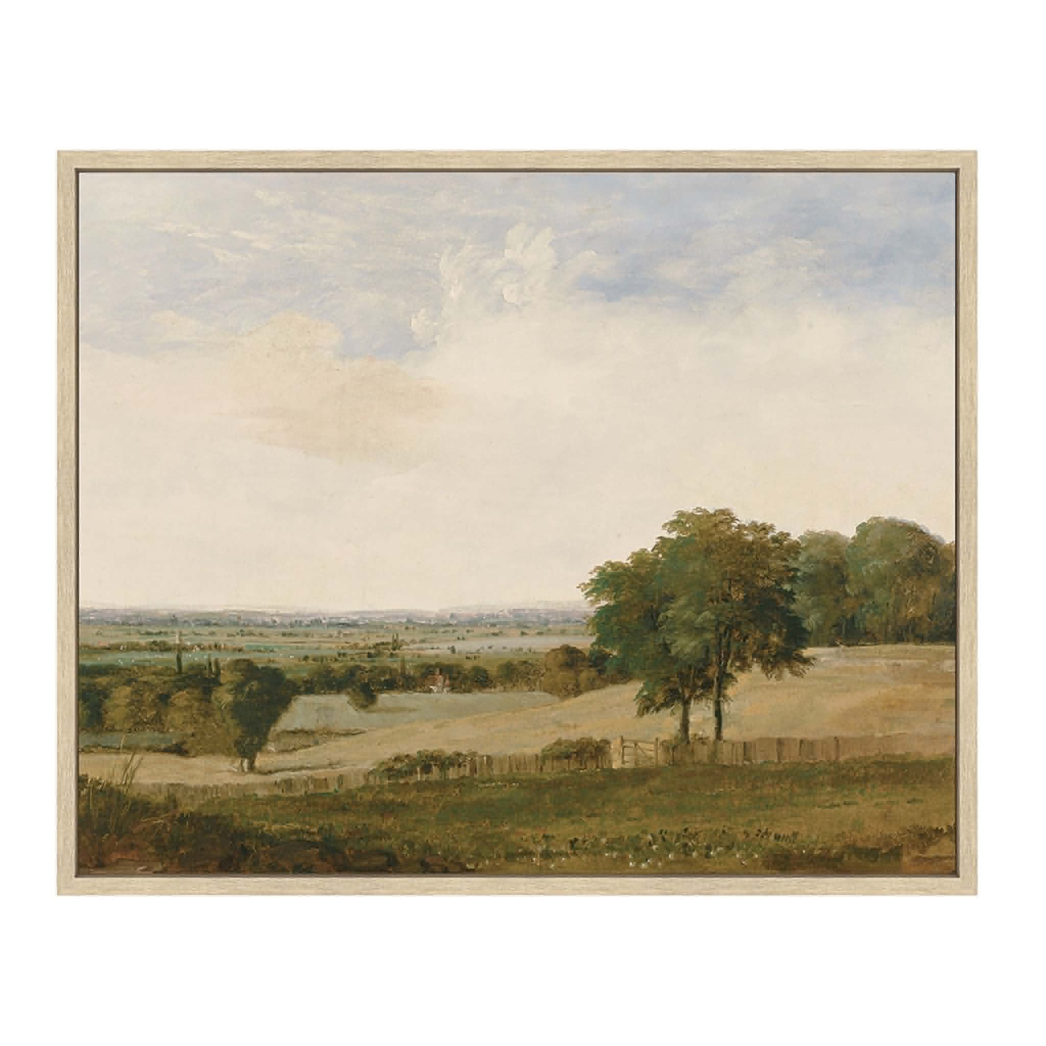 Graze Anatomy Paint | Framed Canvas Art | 43x53cm