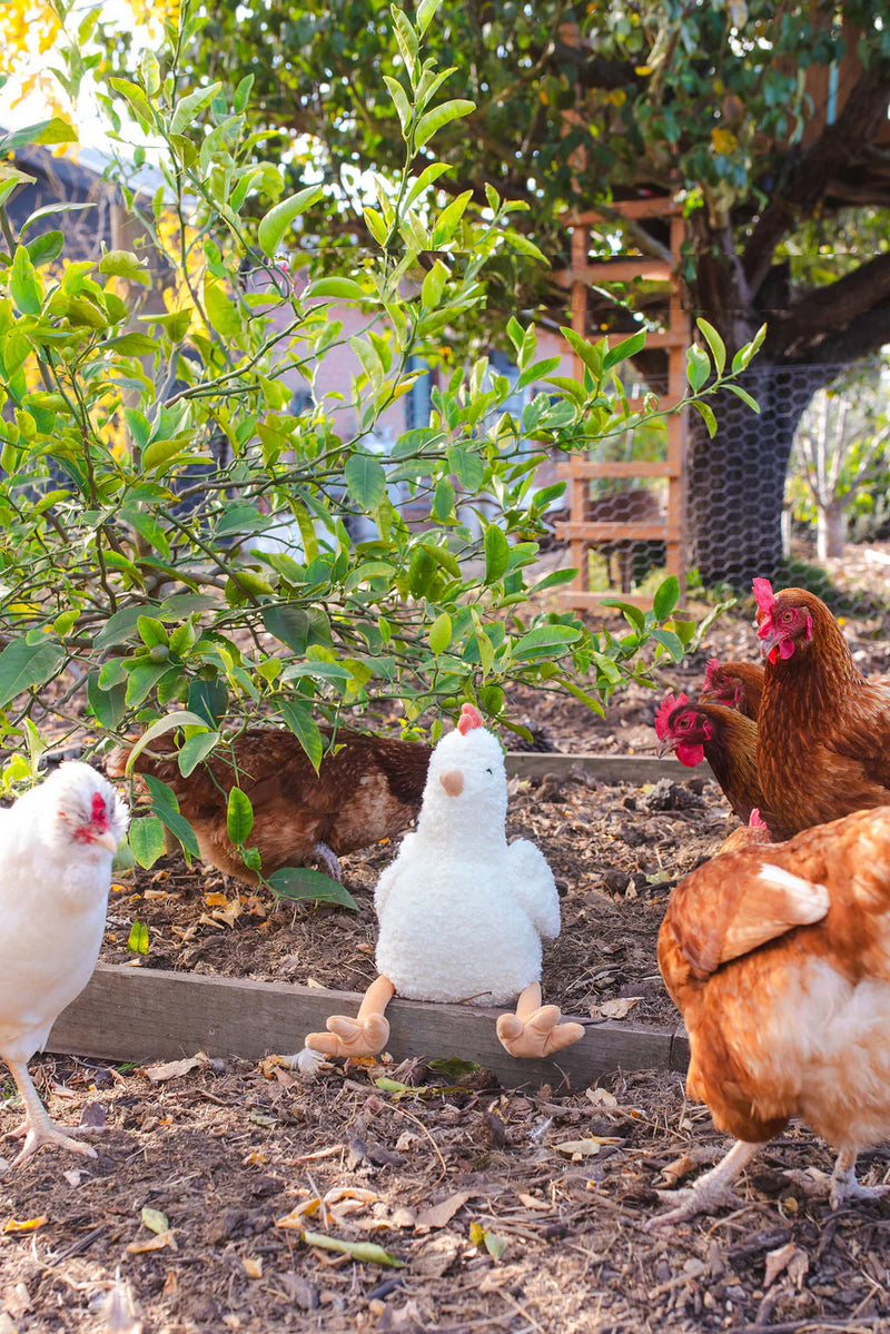 Henrietta the Hen | Cream