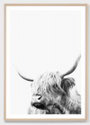 Highland Friend | Framed Print