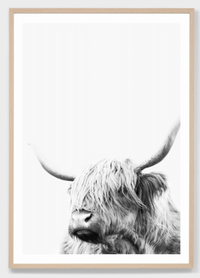Highland Friend | Framed Print