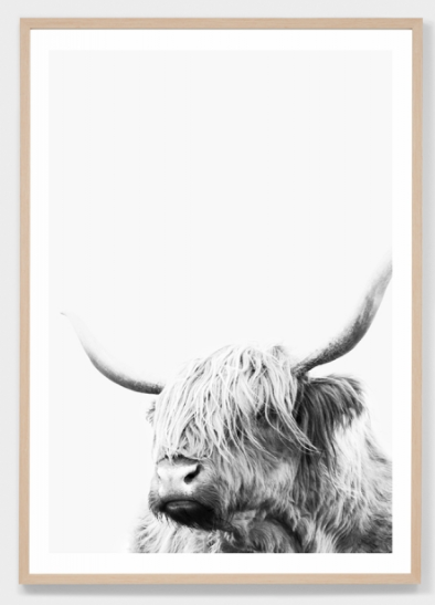 Highland Friend | Framed Print