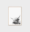 Highland Friend | Framed Print