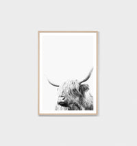 Highland Friend | Framed Print