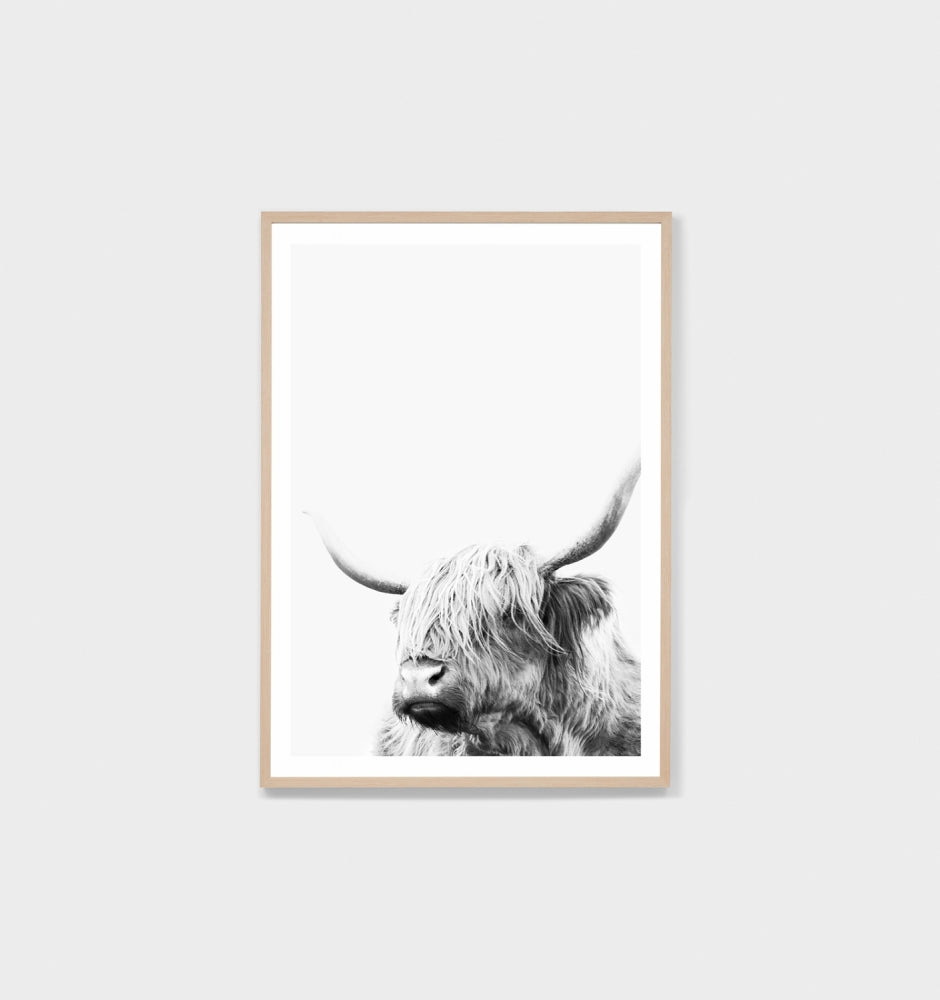 Highland Friend | Framed Print