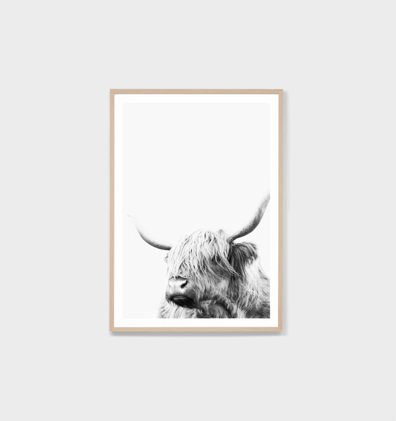 Highland Friend | Framed Print