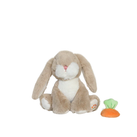 Binky Bunny
