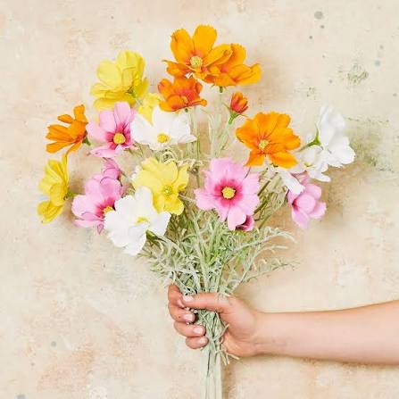 Cosmos Arrangement