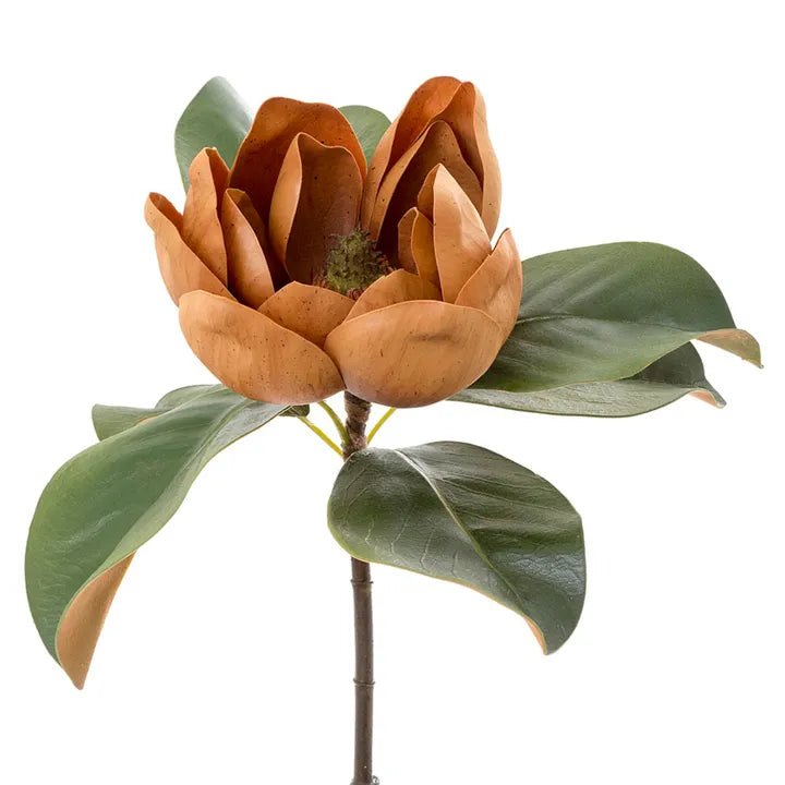 Magnolia | Copper