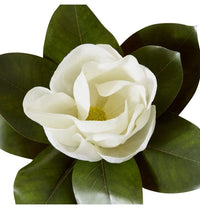 Magnolia Flower Stem |  White