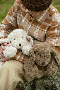 Max the Dog | Brown