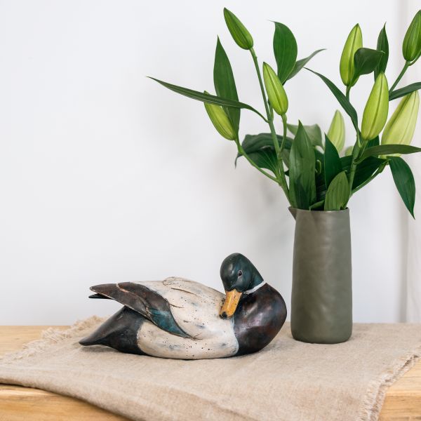 Duck Medium
