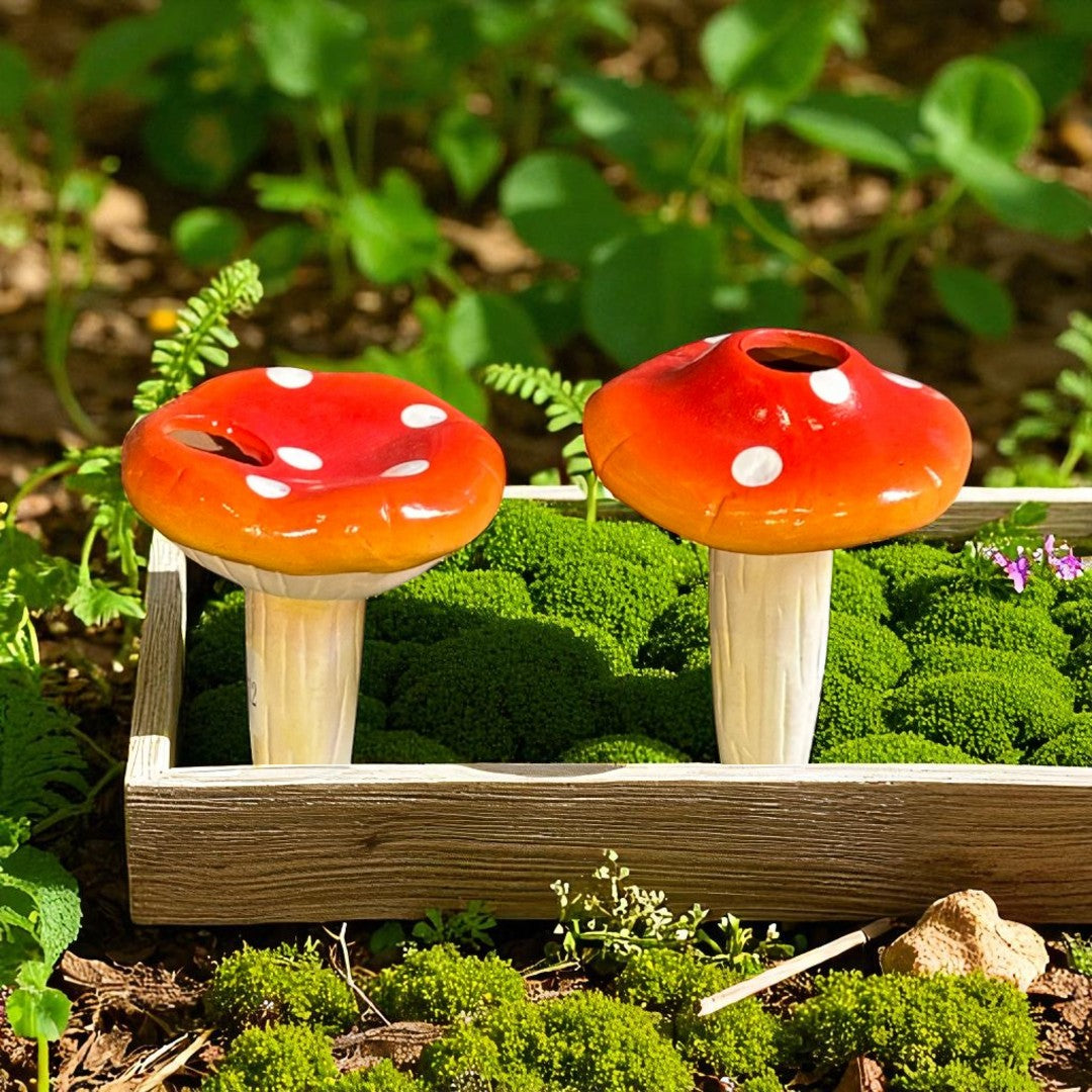 Assorted Mushroom Watering Spikes