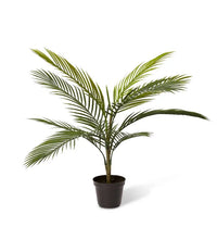 Areca Palm Outdoor | Green