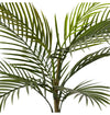 Areca Palm Outdoor | Green