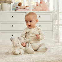 Scruff The Comfort Teddy