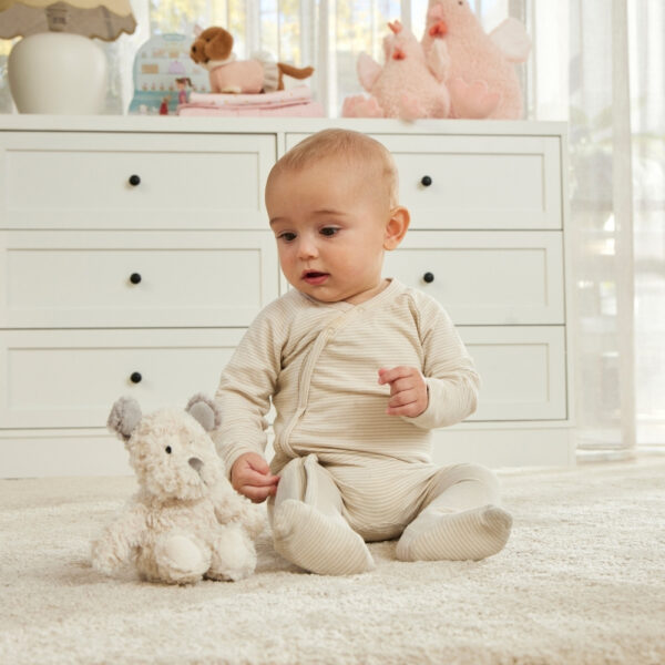 Scruff The Comfort Teddy