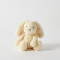 Lemon Bunny