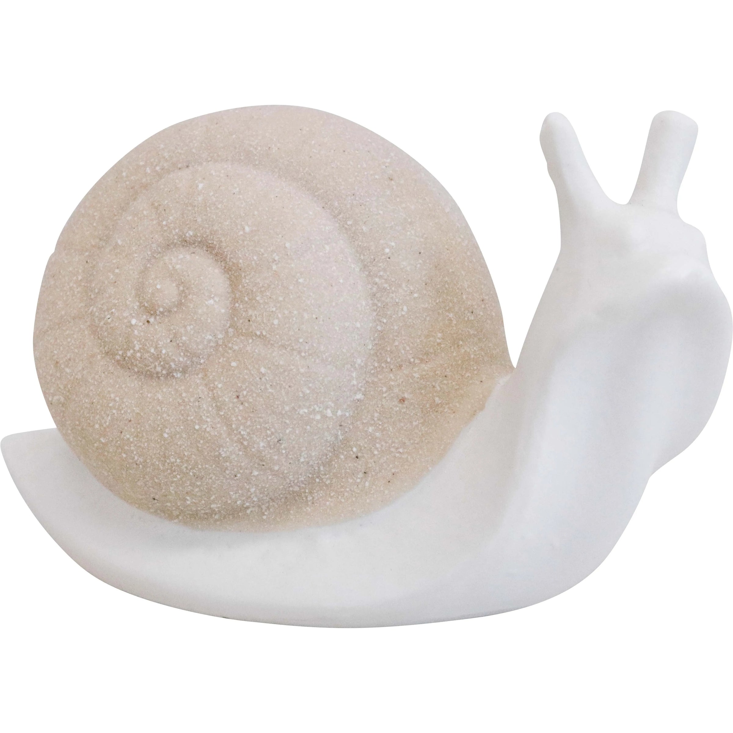 Sheldon Snail