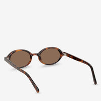 Wonder Sunglasses | Brown Tort