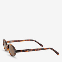 Wonder Sunglasses | Brown Tort