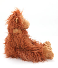 The Orangutans