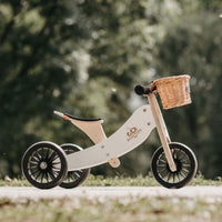 Tiny Tot Trike Plus
