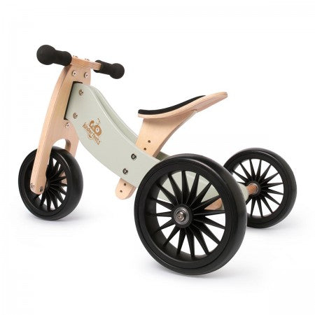 Tiny Tot Trike Plus