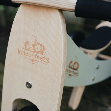 Tiny Tot Trike Plus