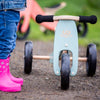 Tiny Tot Trike