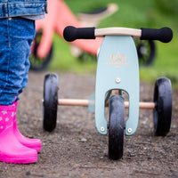 Tiny Tot Trike