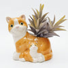 Hugging Cats Planter Ginger & White