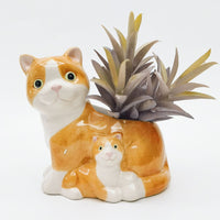 Hugging Cats Planter Ginger & White