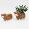 Highland Planter Brown