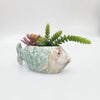 Reef Fish Planter Blue